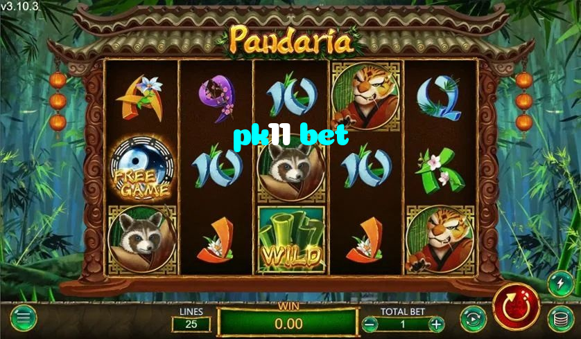 making first deposit on pk11 bet website using local payment methods in Pakistan